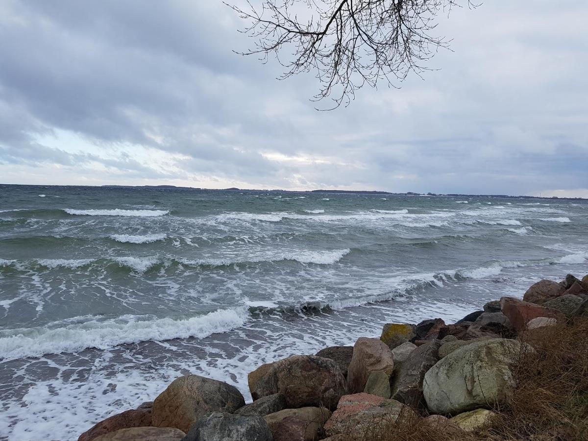 Strandappartement Steinberghaff "Zur Birk" Mit Meerblick Steinberg  Exterior foto